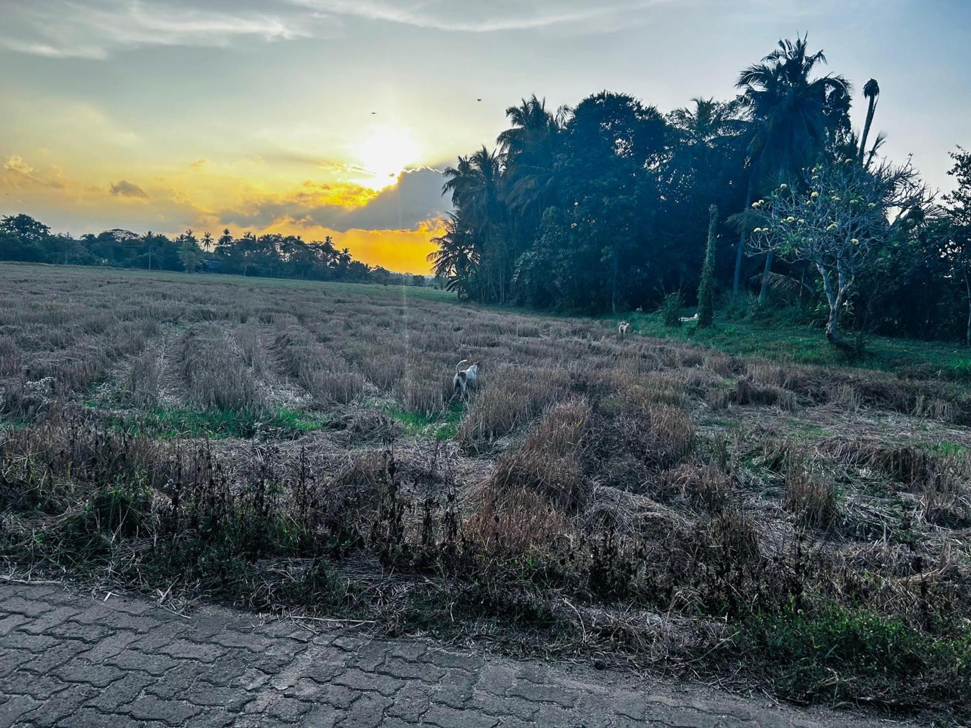 Windy Villa Polonnaruwa Exterior foto
