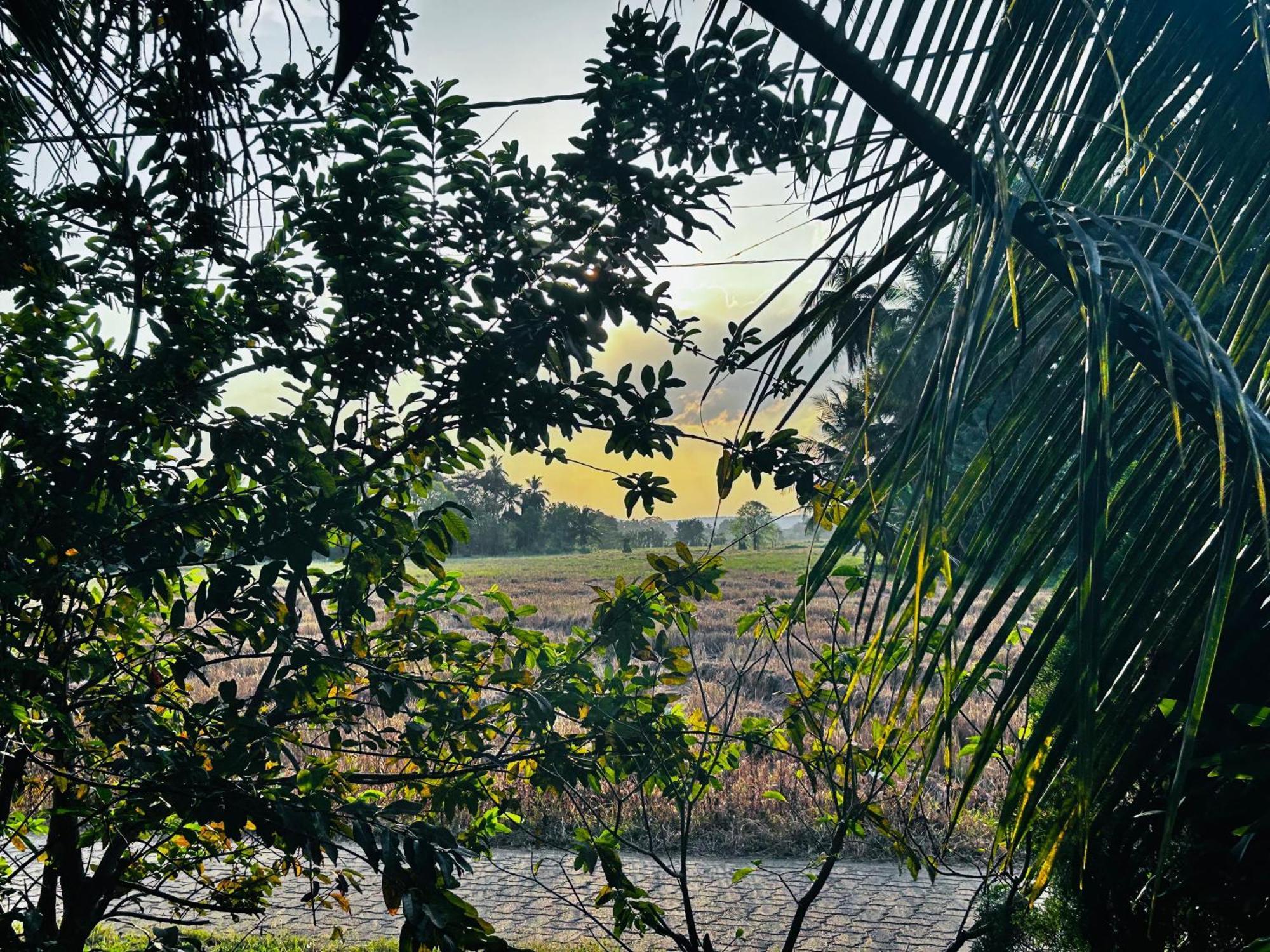 Windy Villa Polonnaruwa Exterior foto
